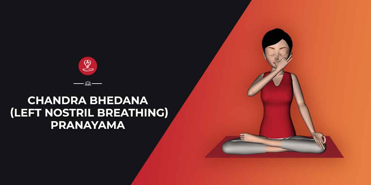 Chandra Bhedana Left Nostril Breathing Pranayama Steps Benefits