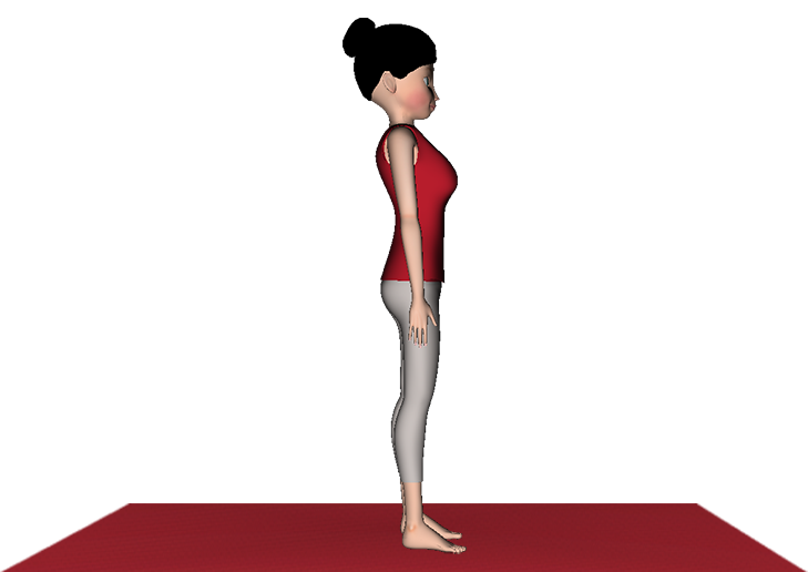 Hastapadasana Yoga Standing Forward Bend 