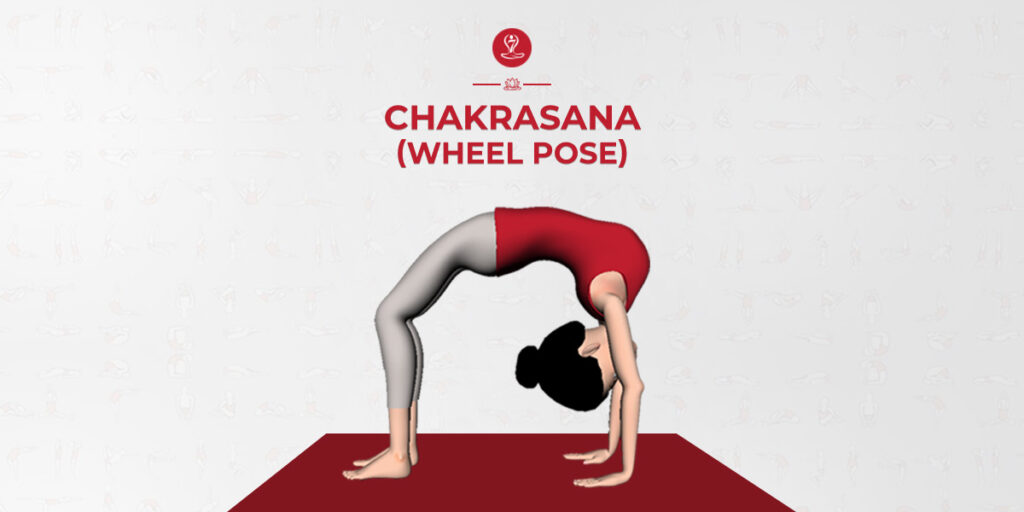 Chakrasana