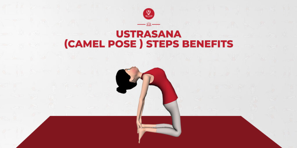 Camel Pose