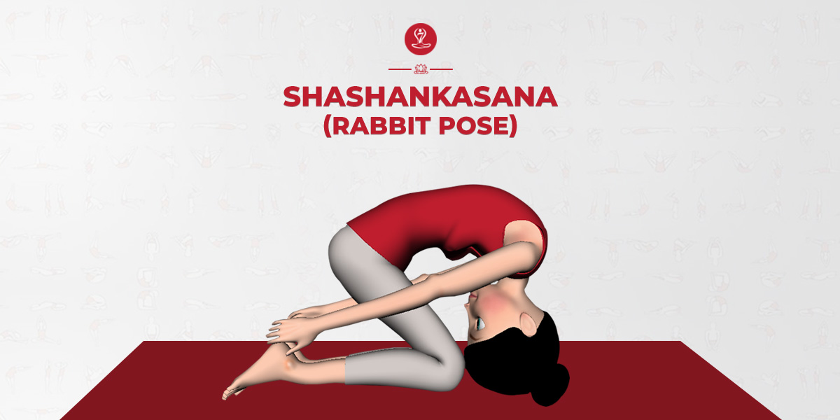Hare Pose | Rabbit Pose (Shashankasana) Dimensions & Drawings |  Dimensions.com