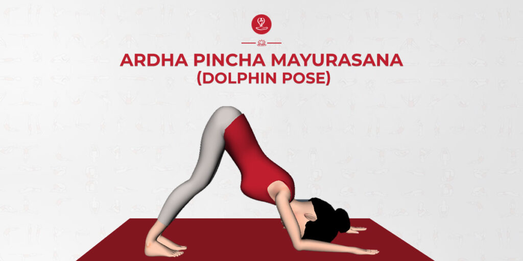 Dolphin Pose