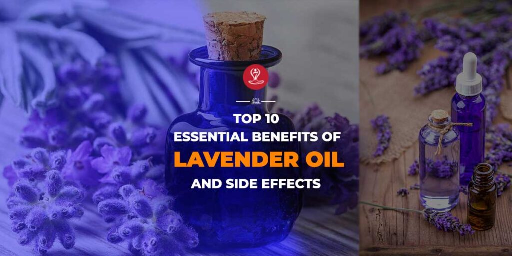 Benefits of Lavender Oil