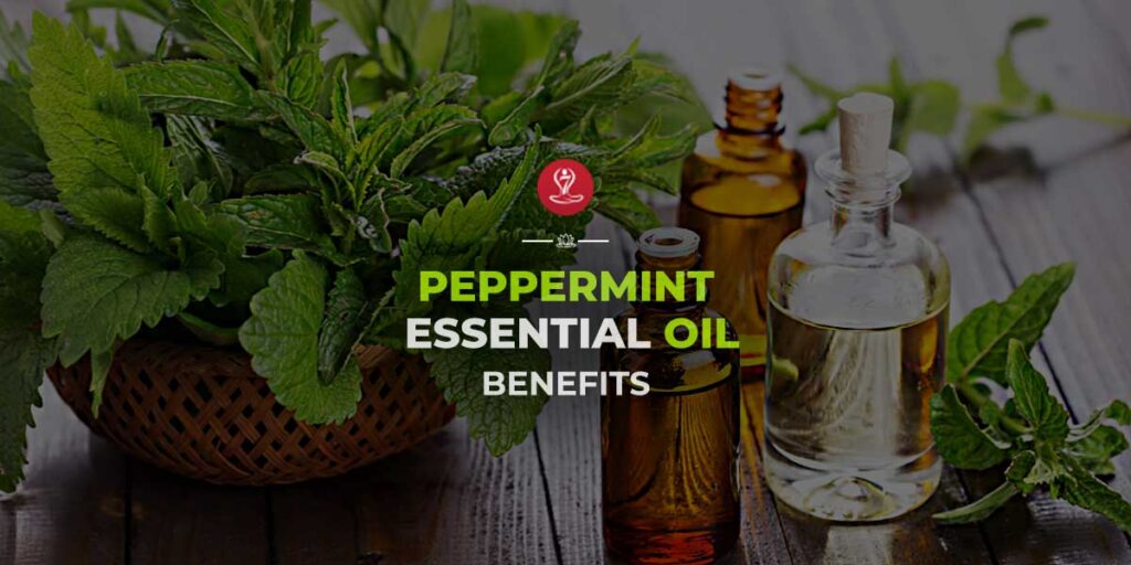 Peppermint Essential Oil