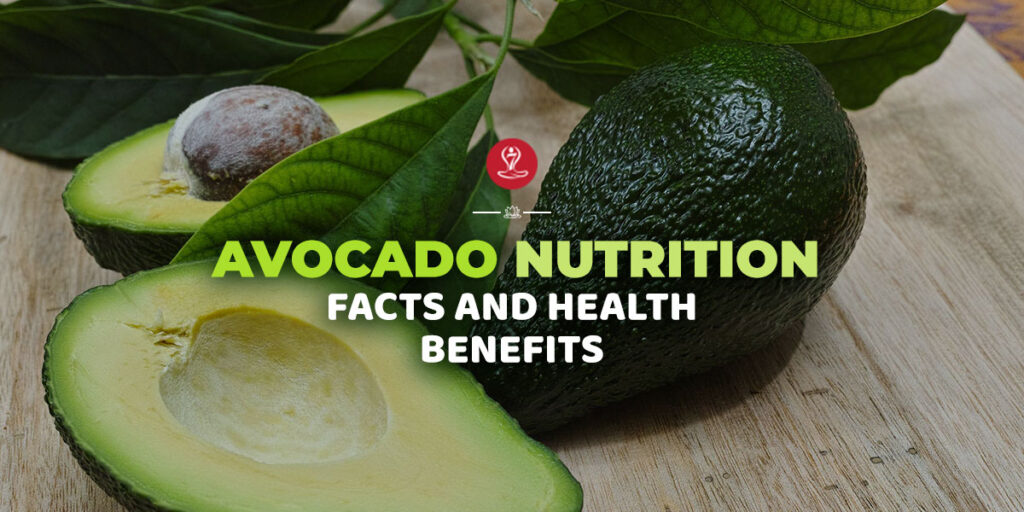 benefits of Avocado