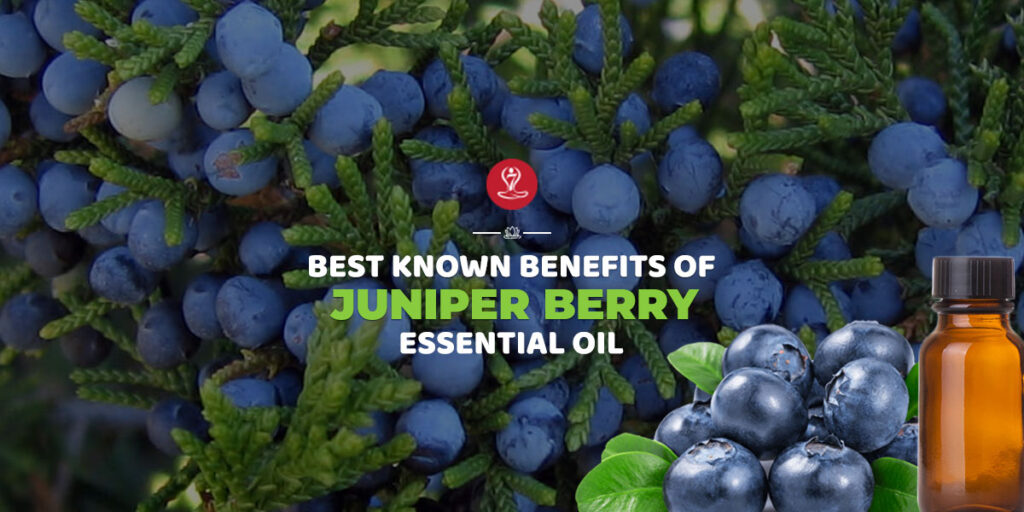 Juniper Berry Essential Oil