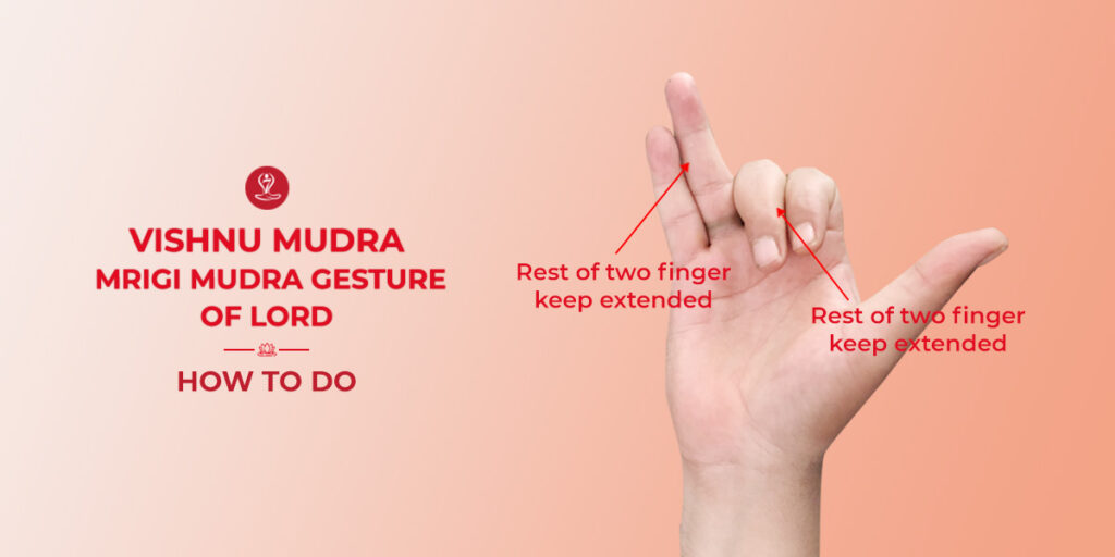 Vishnu Mudra
