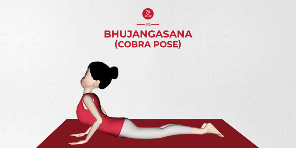 Bhujangasana