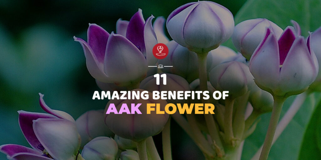 benefits of Aak