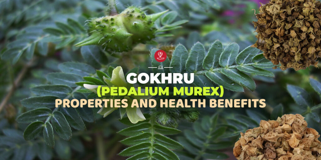 Gokhru