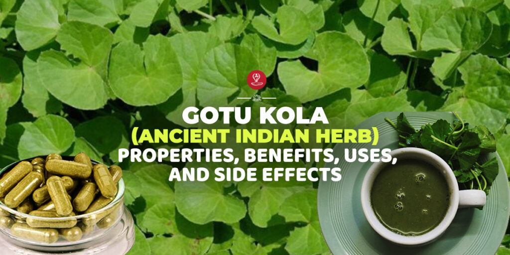 Gotu kola