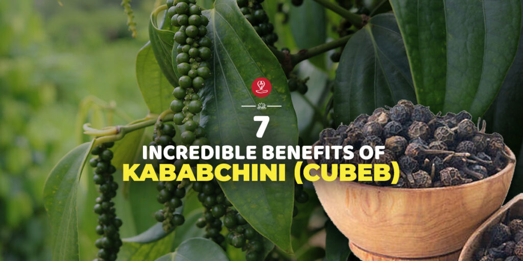 Kababchini (Cubeb)