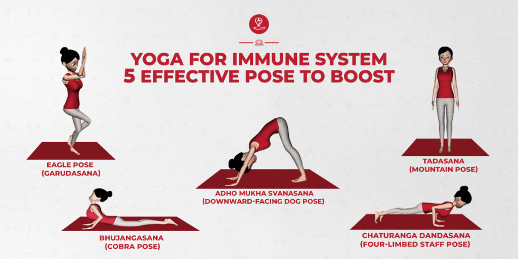 Yoga for Immune System