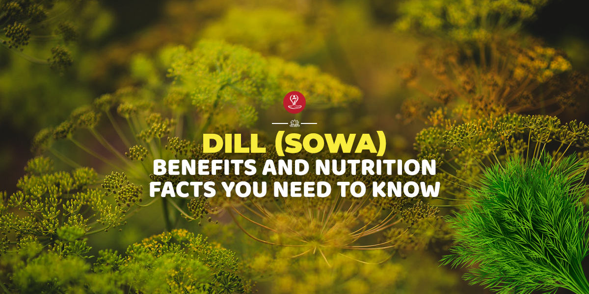 benefits of dill