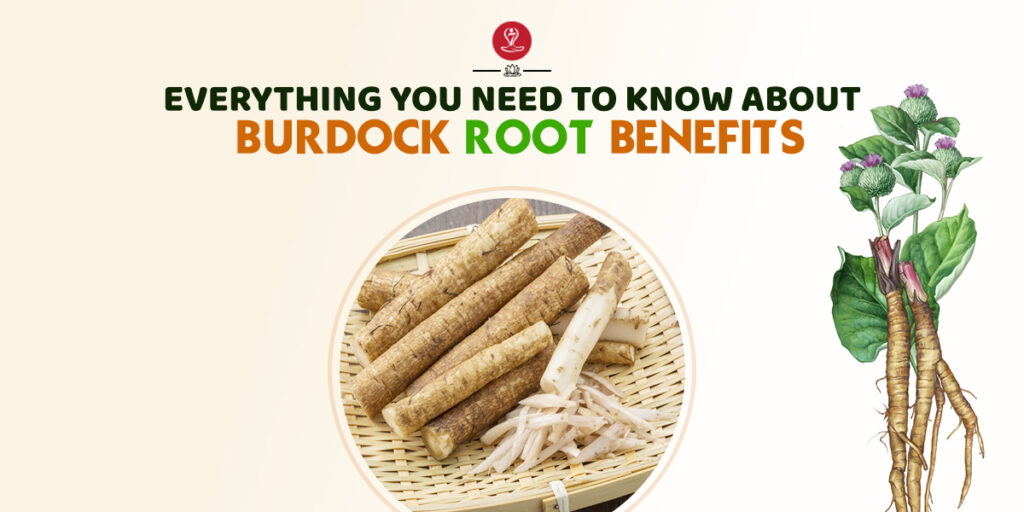 Burdock root