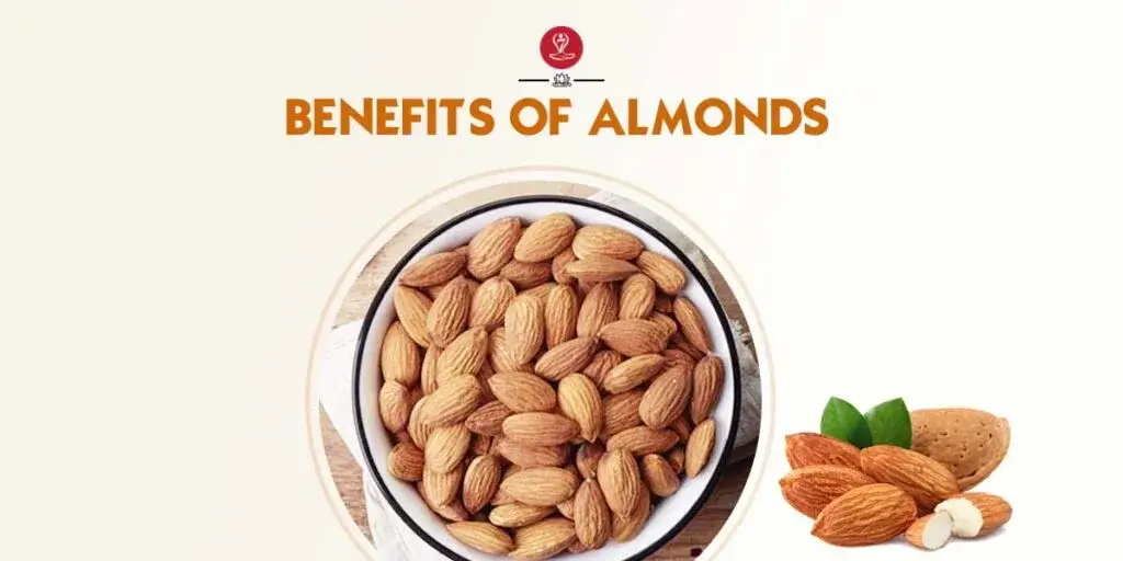 A close-up image of raw almonds in a bowl, symbolizing their health benefits for brain function and hair growth.