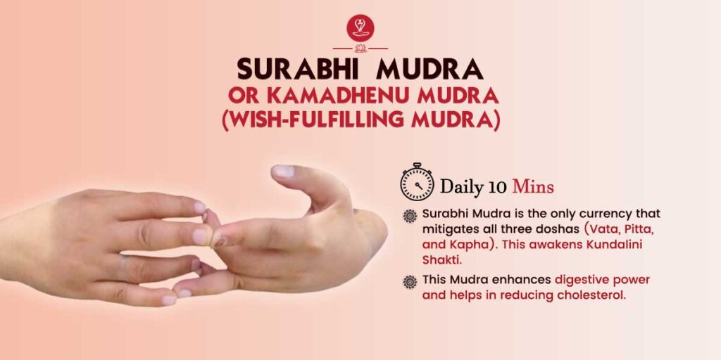 Surabhi Mudra
