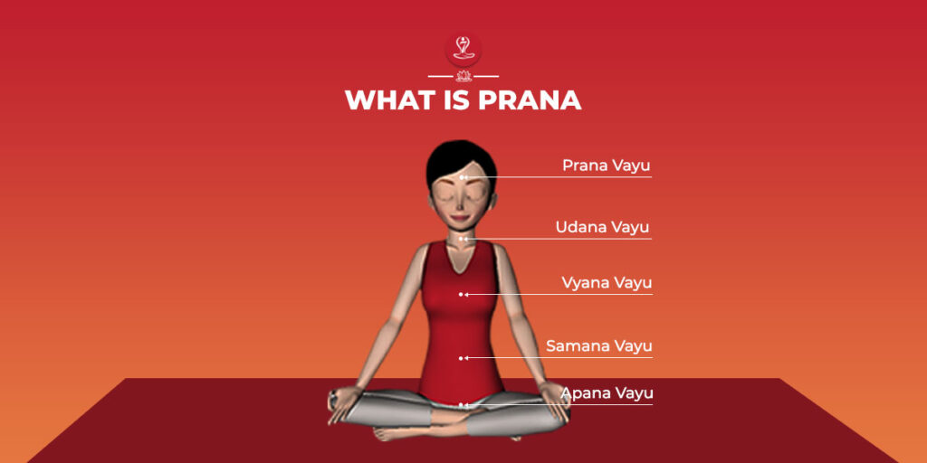 Prana