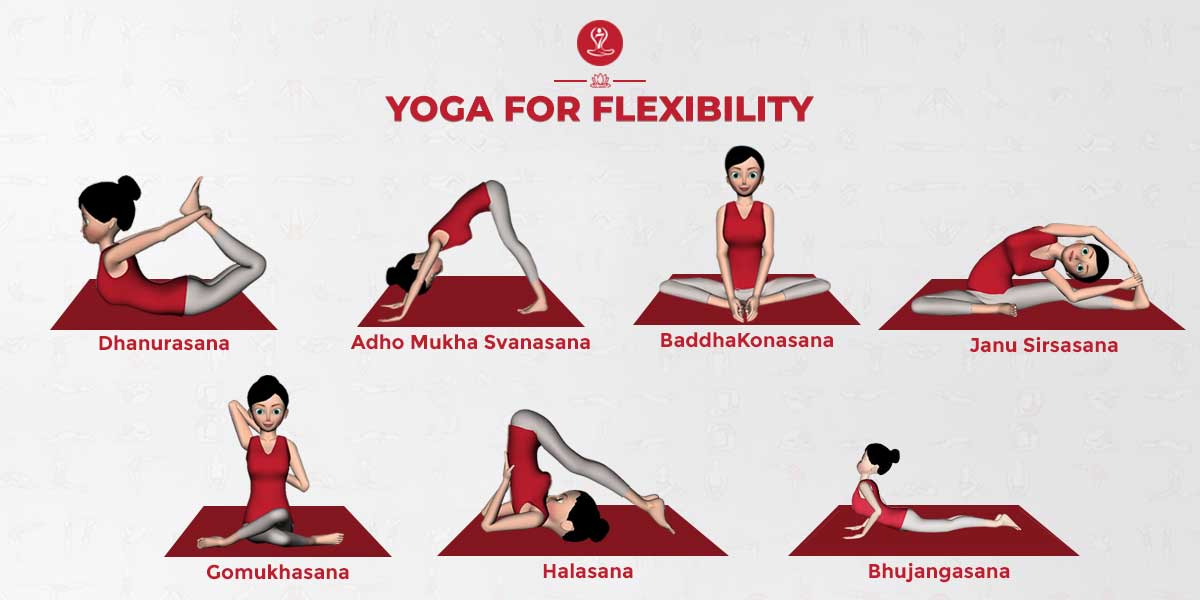 8 Yoga Poses To Practice Daily Concept Woman Exercising For Body Stretching Yoga  Posture Or Asana For Fitness Infographic Flat Cartoon Vector Stock  Illustration - Download Image Now - iStock