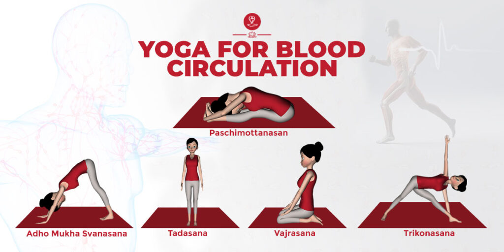 Yoga for Blood Circulation