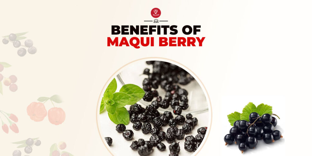 Benefits of Maqui Berry