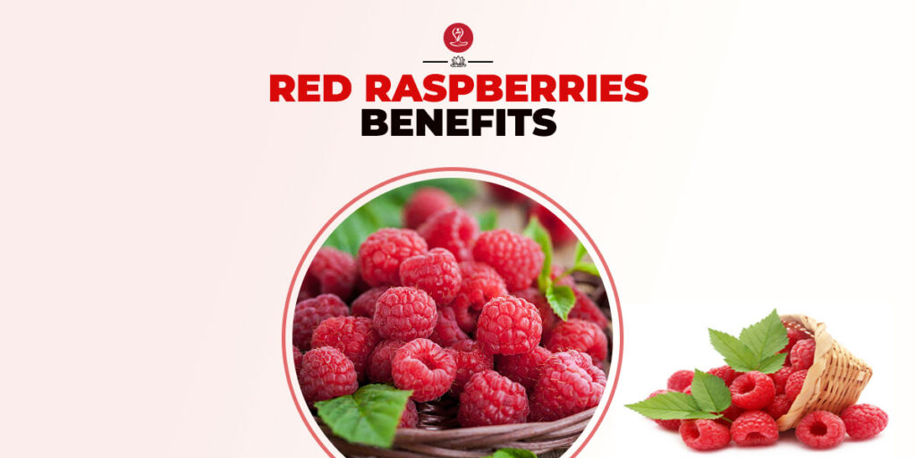 Red Raspberries Benefits