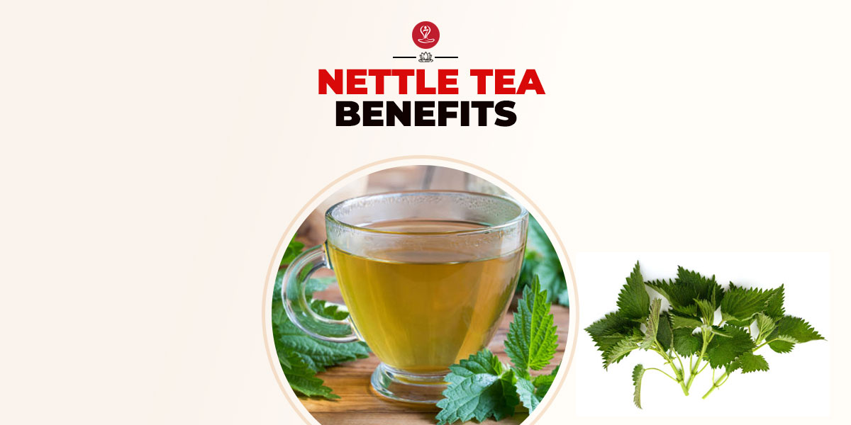 benefits of nettle Tea