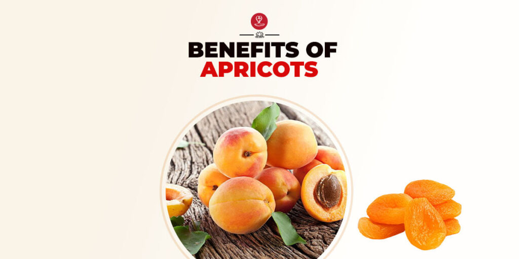 apricots