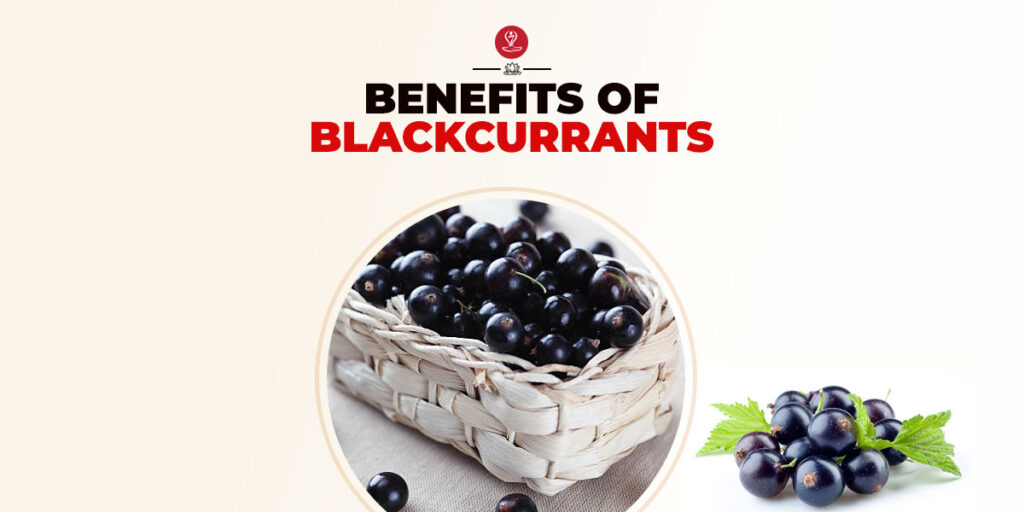 Benefits Of Blackcurrants