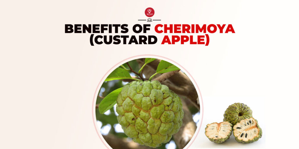 benefits of Cherimoya
