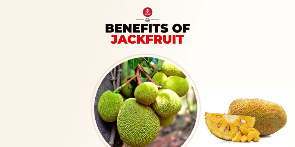 benefits of jackfruit