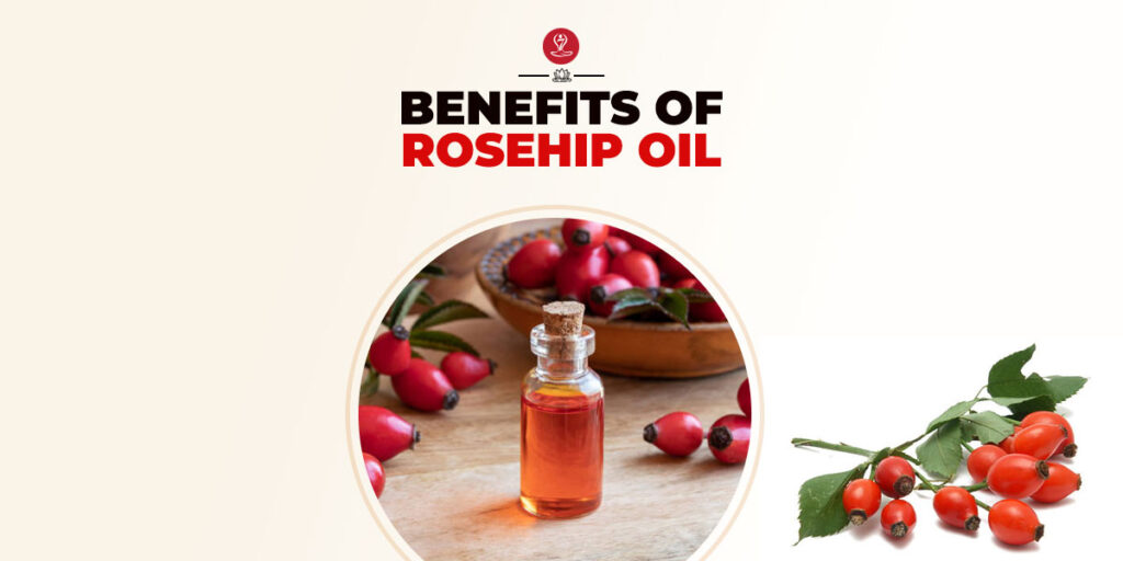 Benefits of Rosehip Oil