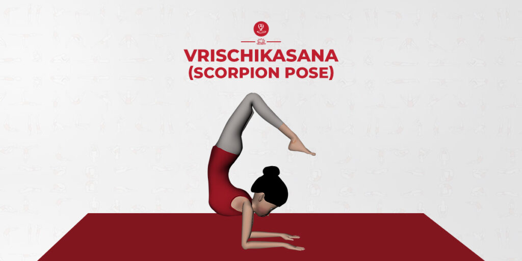 Vrischikasana