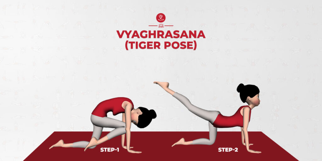 Vyaghrasana