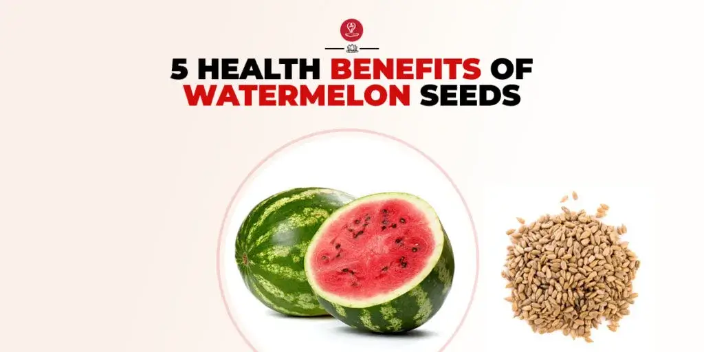 Roasted watermelon seeds in a bowl for healthy snacks