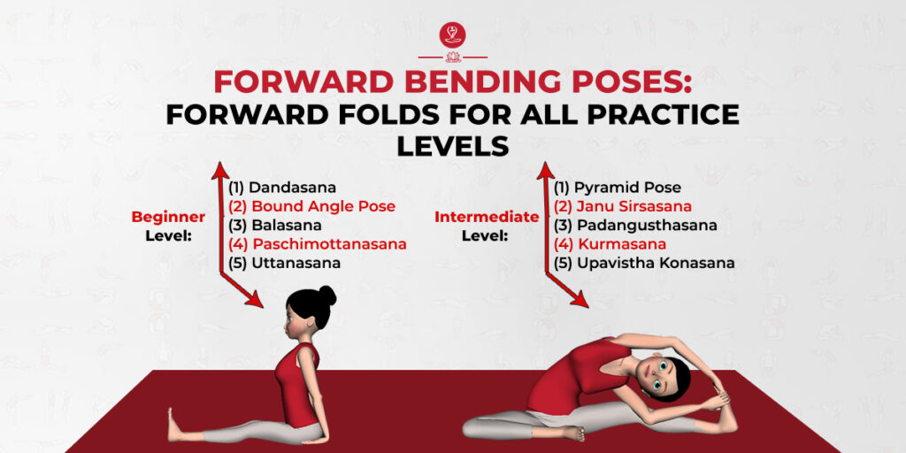 Forward Bending Poses: Forward Folds For All Practice Levels