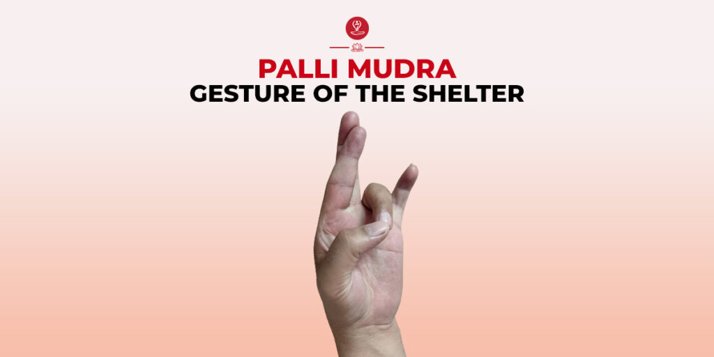 Palli Mudra