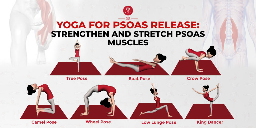 Yoga For Psoas