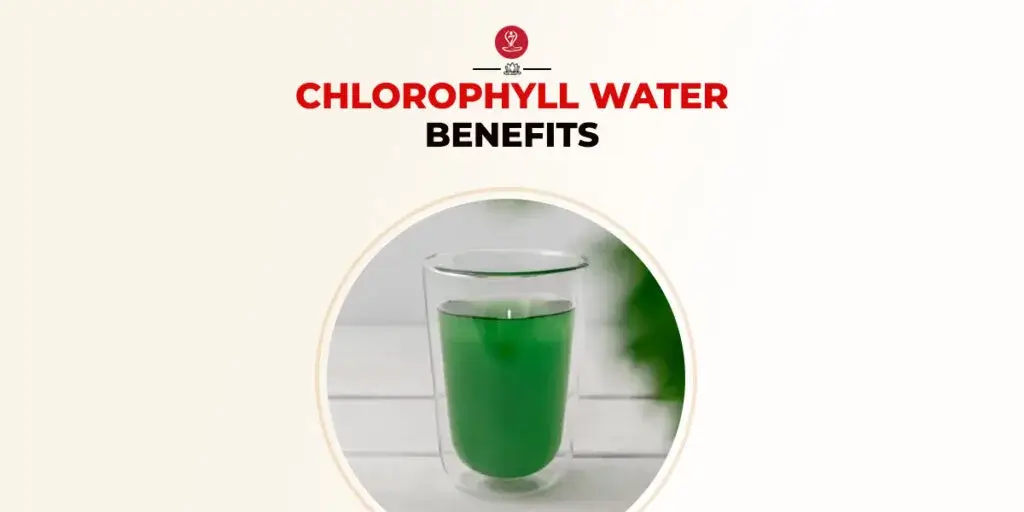 Glass of chlorophyll water with lemon garnish for wellness.
