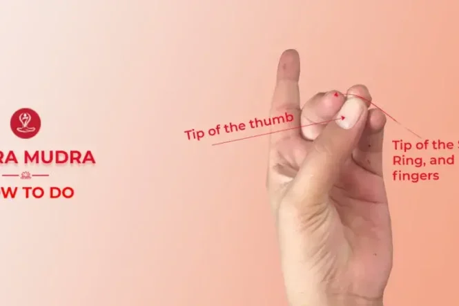 Vajra Mudra Hand Gesture: Benefits, Steps and Daily Practice Guide