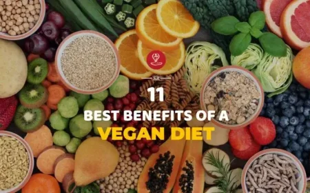 Healthy plant-based foods for weight & energy