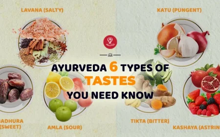 Ayurveda six tastes chart showing sweet, sour, salty, pungent, bitter, and astringent foods.