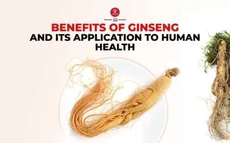 Fresh ginseng roots displayed on a wooden surface with green leaves.