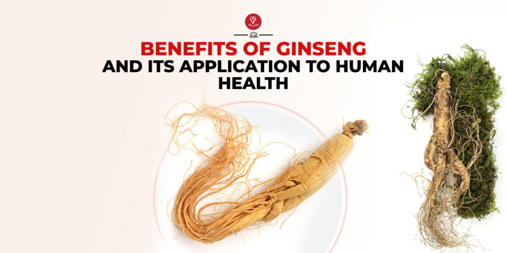 Benefits of Ginseng