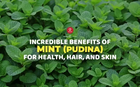 Fresh mint leaves with natural health benefits