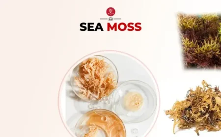 Raw sea moss for health and nutrition