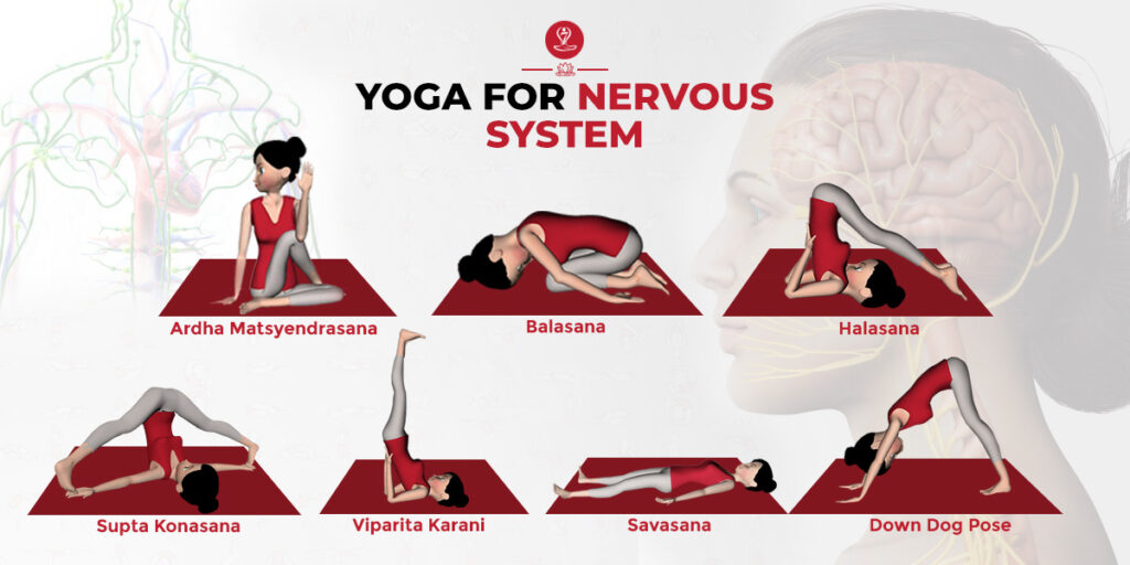 Yoga For Nervous System