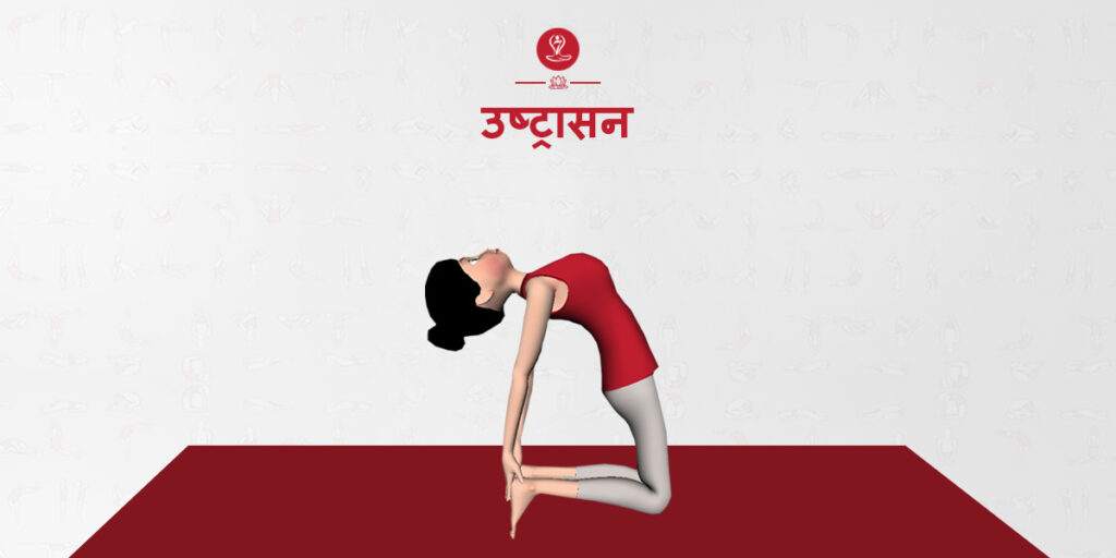 उष्ट्रासन