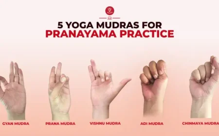 5 Best Yoga Mudras for Pranayama Practice with Benefits and Steps