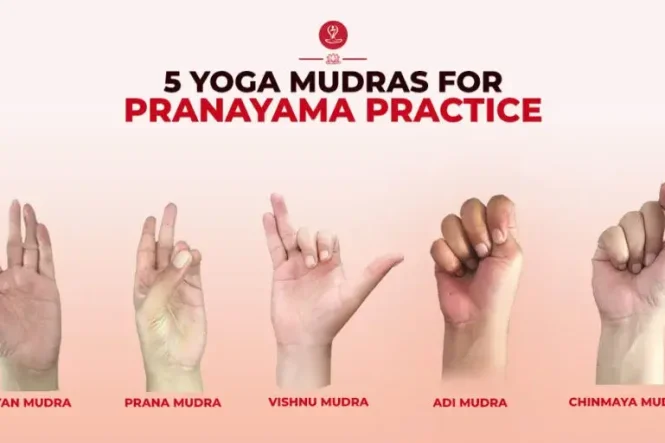 5 Best Yoga Mudras for Pranayama Practice with Benefits and Steps
